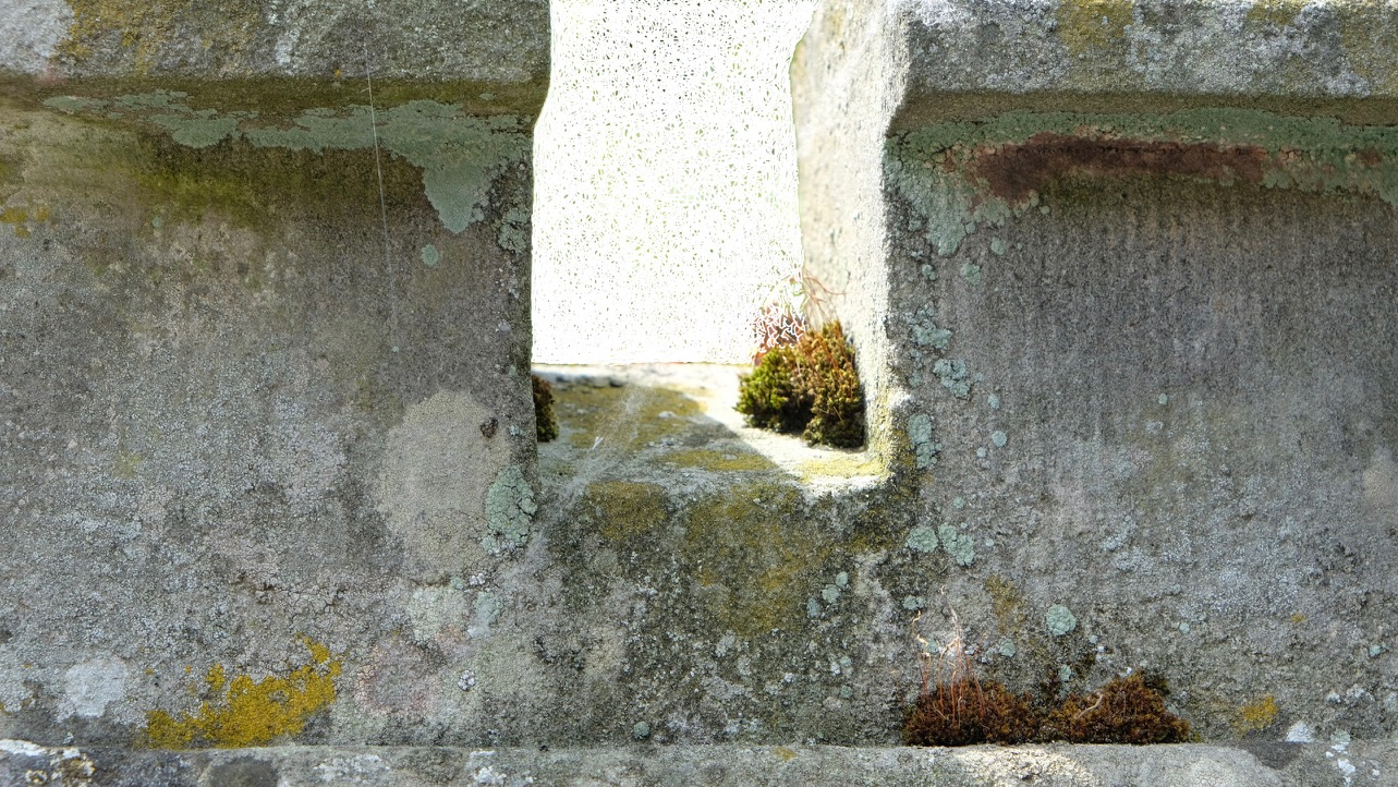 2_image-3