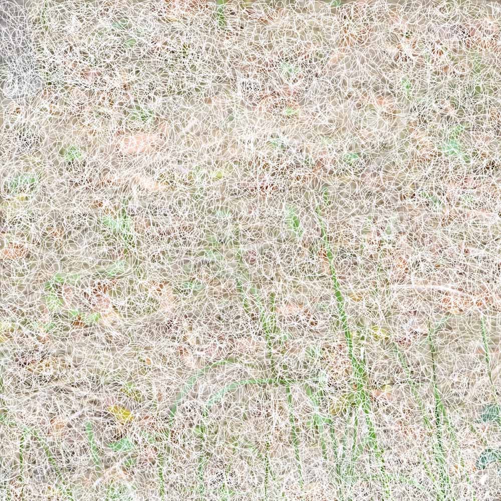 image-2-Kopie